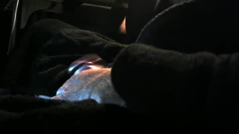 Snapshot of bear4146 chatting on 12.08.24 bear4146 online show from 12.08.24