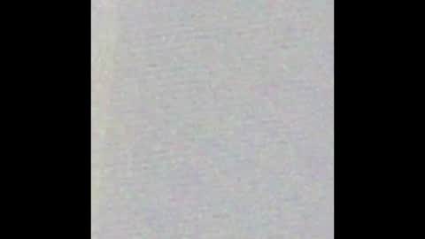 Bearvixen online show from 01.09.26