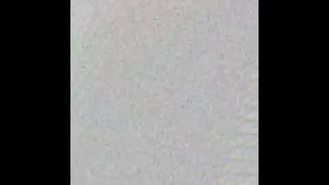 Bearvixen online show from 01.18.26