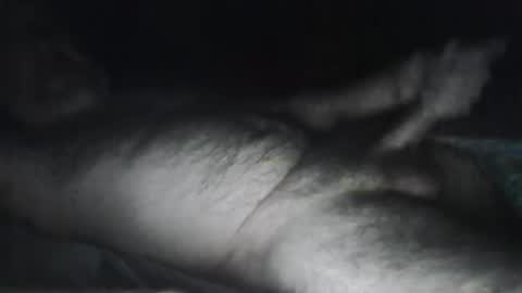 Snapshot of beastiejam2000 chatting on 01.31.25 beastiejam2000 online show from 01.31.25