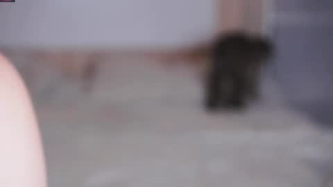 Beatrice online show from 11.07.25