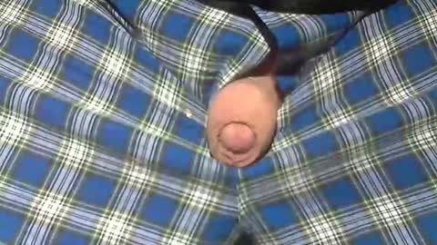  Reservoir Dogs online show from 02.19.26