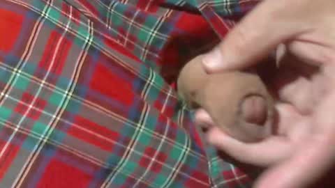  Reservoir Dogs online show from 03.30.26