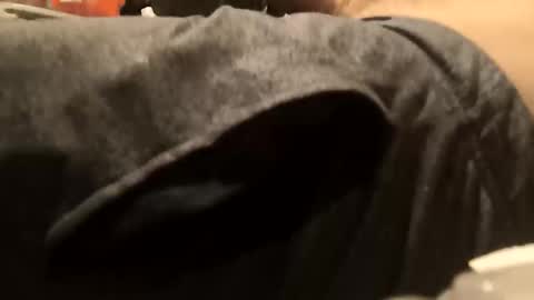 begdik25 online show from 10.11.25