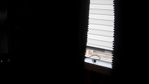 belessa4u online show from 03.20.26