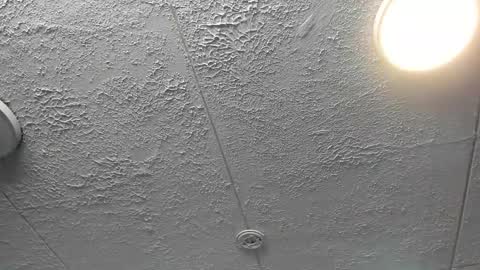  Bella  online show from 12.04.25