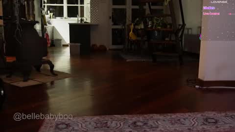 BELLE   online show from 02.15.26