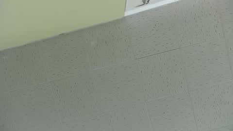 Ben online show from 03.02.25