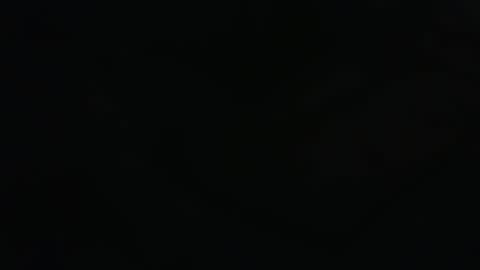 . online show from 03.15.26