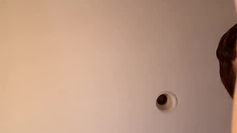 bgiamba21 online show from 10.16.25