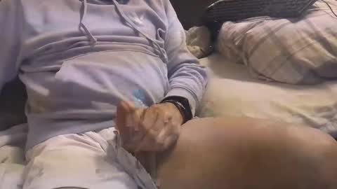 Snapshot of bigboytoy_12 chatting on 03.03.25 L e g a l    S t u f f Any UNAUTHORIZED use of this profile video pictures or audio in any form or in a forum now or in the fu online show from 03.03.25