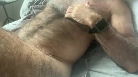 big bush online show from 02.11.25