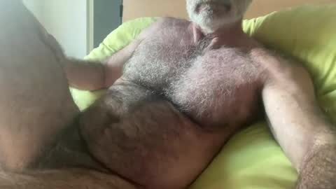 big bush online show from 06.27.26