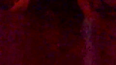 Snapshot of bigcawkdaddii chatting on 02.07.26 Hunny online show from 02.07.26