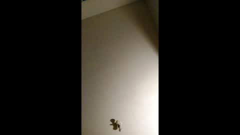 bigchorizo18 online show from 04.02.26