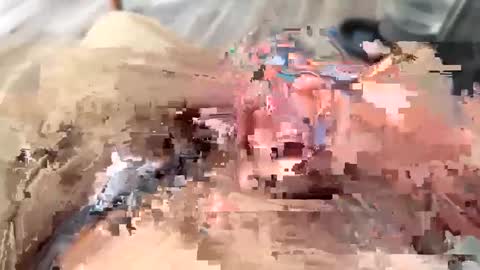 bigcockster207046 online show from 09.19.25