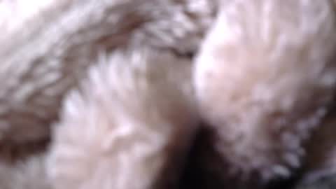 BigDad14140 online show from 04.26.26