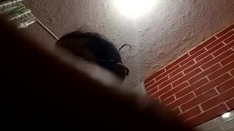 BigDaddykodack online show from 10.28.25