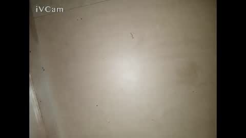 Big online show from 03.13.26