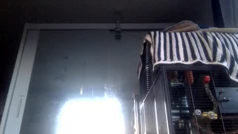 Snapshot of bigdickdangles472924 chatting on 09.19.25 bigdickdangles472924 online show from 09.19.25