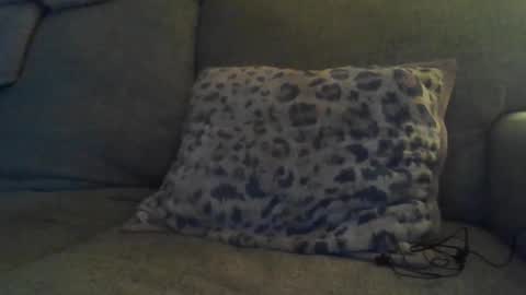 bigdt444420 online show from 11.17.25