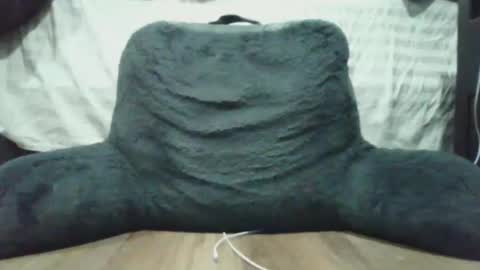 bigdyllpickle online show from 01.08.26