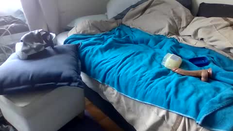 Snapshot of bigjoed233 chatting on 03.08.26 bigjoed233 online show from 03.08.26