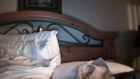 bigload1972 online show from 01.22.25