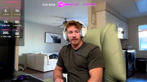 Snapshot of bigmcr1 chatting on 11.28.25 Nick Barker online show from 11.28.25