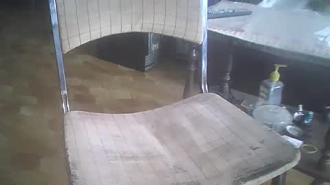 Snapshot of bigpenix chatting on 12.21.25 bigpenix online show from 12.21.25