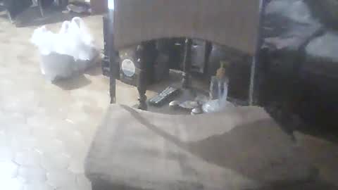 Snapshot of bigpenix chatting on 02.07.26 bigpenix online show from 02.07.26