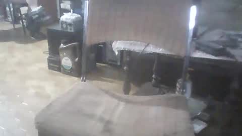 Snapshot of bigpenix chatting on 02.15.26 bigpenix online show from 02.15.26