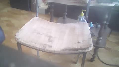 Snapshot of bigpenix chatting on 03.09.26 bigpenix online show from 03.09.26