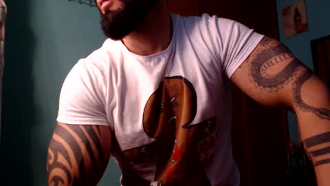 BigStallion online show from 12.15.24