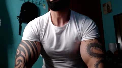 BigStallion online show from 01.05.25