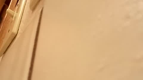 Snapshot of bigtsgagger11 chatting on 02.17.26 DeePee online show from 02.17.26