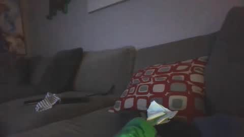 mygoosehonks online show from 09.14.25