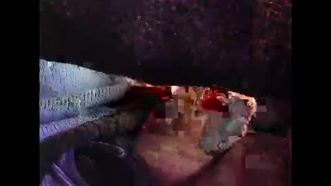 bilco03 online show from 10.29.25