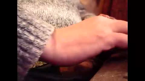 bilco03 online show from 11.20.25