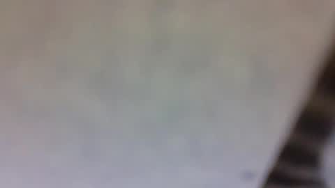 Snapshot of billmenow141 chatting on 03.10.25 billmenow141 online show from 03.10.25