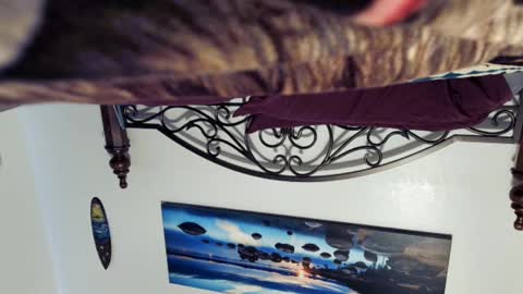 Starlyte online show from 03.02.25