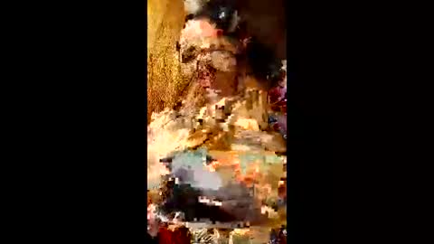 Snapshot of bina241986 chatting on 06.10.26 bina241986 online show from 06.10.26