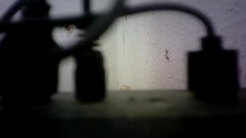 Bisex244 online show from 06.21.26