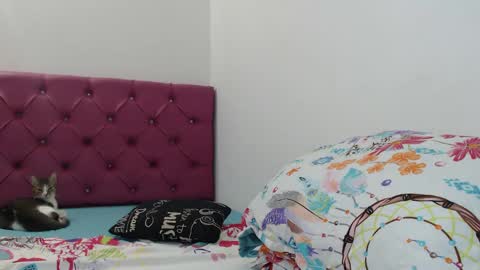 Snapshot of bitch_mommy_x chatting on 01.26.25 I am everything. Your highness queen goddess mistress god daddy mommy boss master. you will address me as such online show from 01.26.25