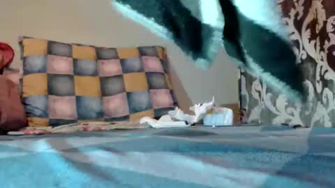 Snapshot of bivolarut30 chatting on 03.10.25 if you love pussy give 1 token - im a poor girl any token counts-my shop video pussy virgina hairy pussy 1 token online show from 03.10.25