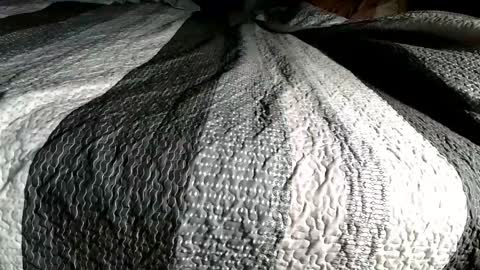 bjaybaby online show from 02.16.26