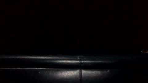 bkjdogfornow online show from 01.05.25