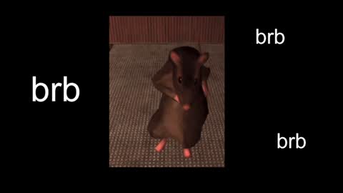  Black Kittie    Wednesday - 1300 - 1900 GMT help me get 100 thumbs up online show from 01.20.25