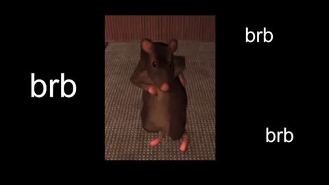  Black Kittie    Wednesday - 1300 - 1900 GMT help me get 100 thumbs up online show from 01.31.25