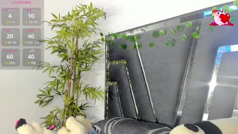 B L A C K  R O S E  online show from 02.07.25